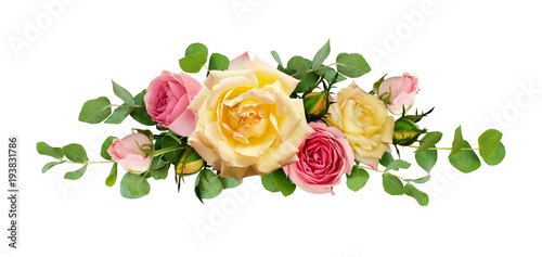 Pink and yellow rose flower...