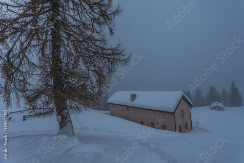 Small farm named Malga Fiorentina covered in snow during a snowfall on a foggy day © Gianluca