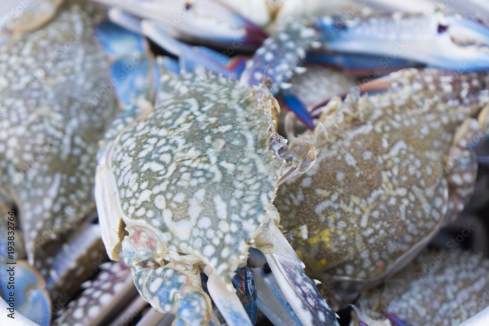 Obraz premium Close up fresh crab prepare for barbecue party.