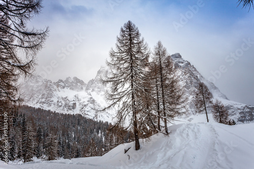 View of the mount Pelmo during a snowy day, Dolomites, Italy
