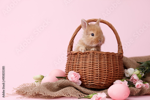 Canvas Print Cute ginger bunny rabbit in basket decorated with spring flowers and Easter eggs