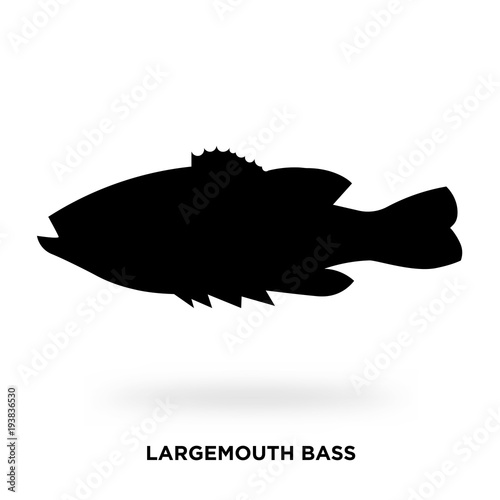 largemouth bass silhouette