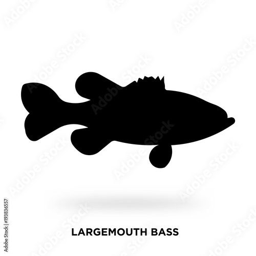 largemouth bass silhouette