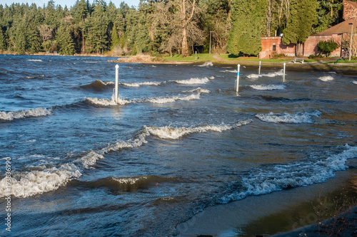 Shoreline At Seward Paek 2 photo