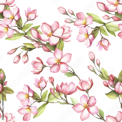 Seamless pattern with cherry blossoms. Watercolor illustration. © adelveys