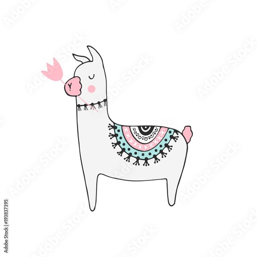 Hand drawn nursery birthday poster with little llama in scandinavian style.