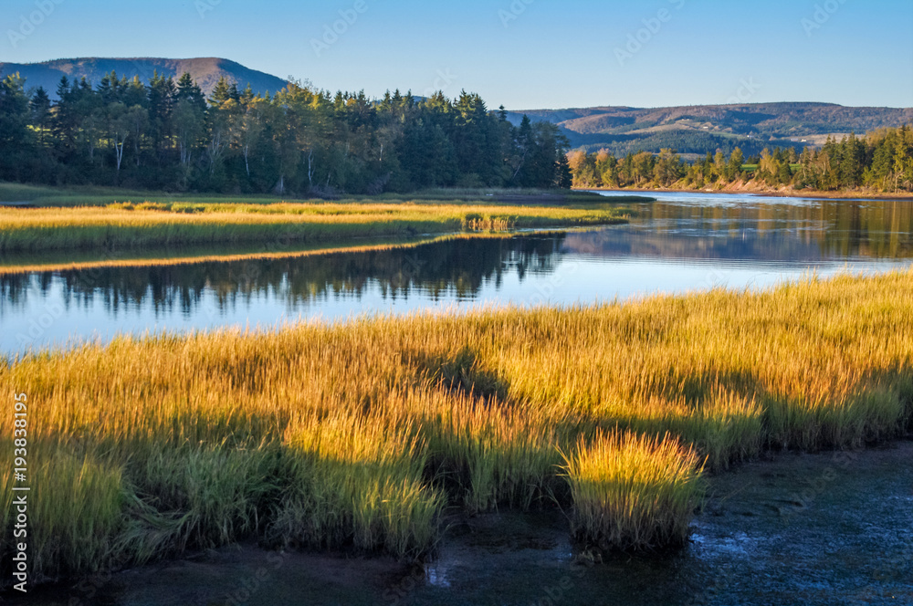 Fototapeta premium Quiet River Bends Through Golden Meadows