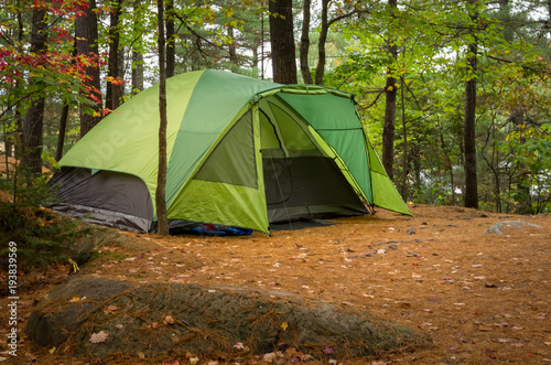 Green Camping Tent in Woods