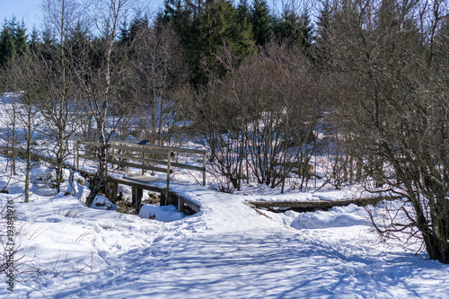 hohes Venn im Winter photo