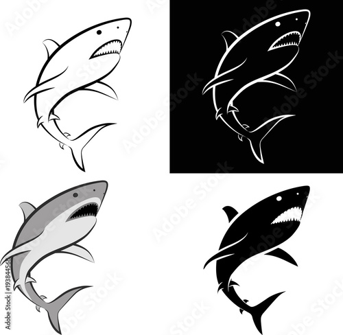 isolated shark - clip art illustration and line art