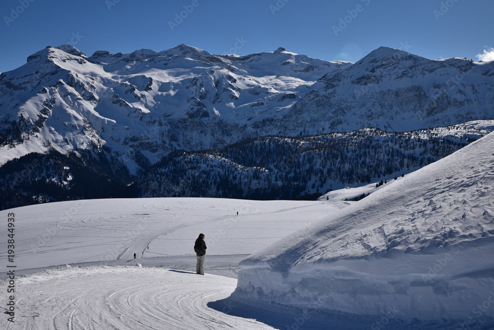 Randonnée dans l'Oberland bernois en hiver en Suisse