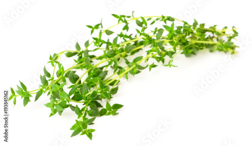 fresh herb  thyme isolated on white