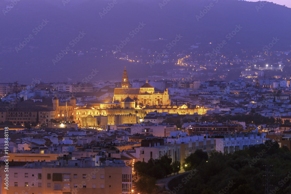 Night panorama of Cordoba with Mosque Cathedral