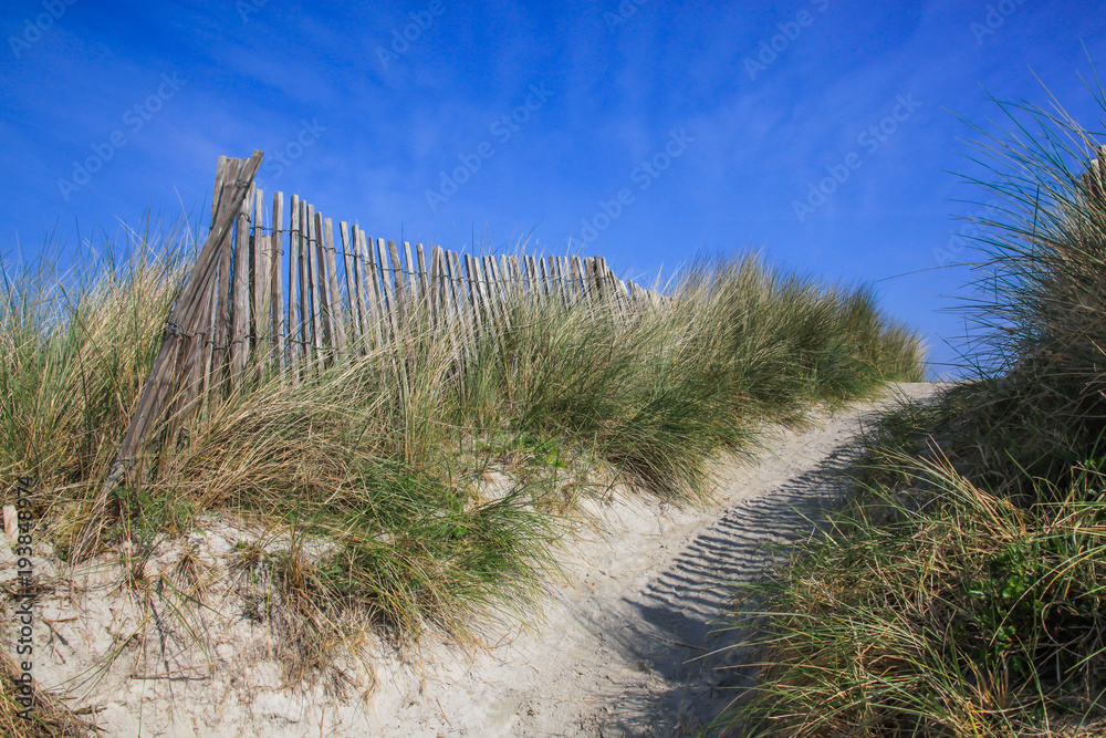 Footpath in dunes with wooden fence and his shadows on the sand, Atlantic coast of Brittany, France