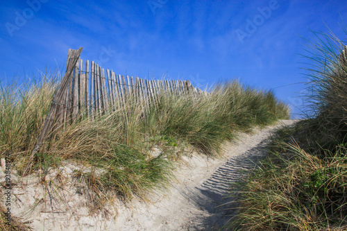 Footpath in dunes with wooden fence and his shadows on the sand  Atlantic coast of Brittany  France