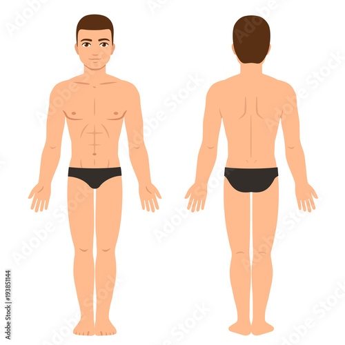 Male body front and back