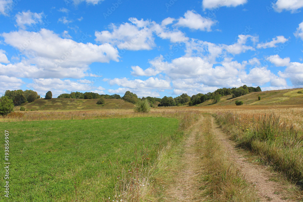 Summer landscape with the field, the country road, the blue sky with clouds and trees