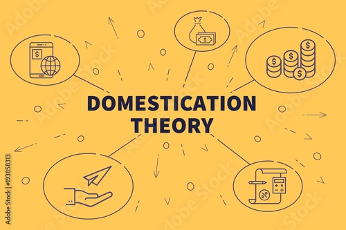 Conceptual business illustration with the words domestication theory