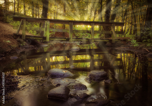 wood bridge in the forest with rays of light at the camera