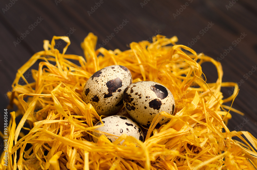 Obraz premium Quail eggs in the decorative nest on dark wooden background.