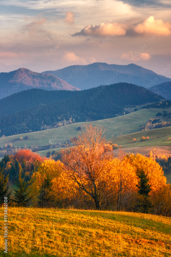 Mountain landscape at sunset in autumn, Mala Fatra National Park, Slovakia, Europe.