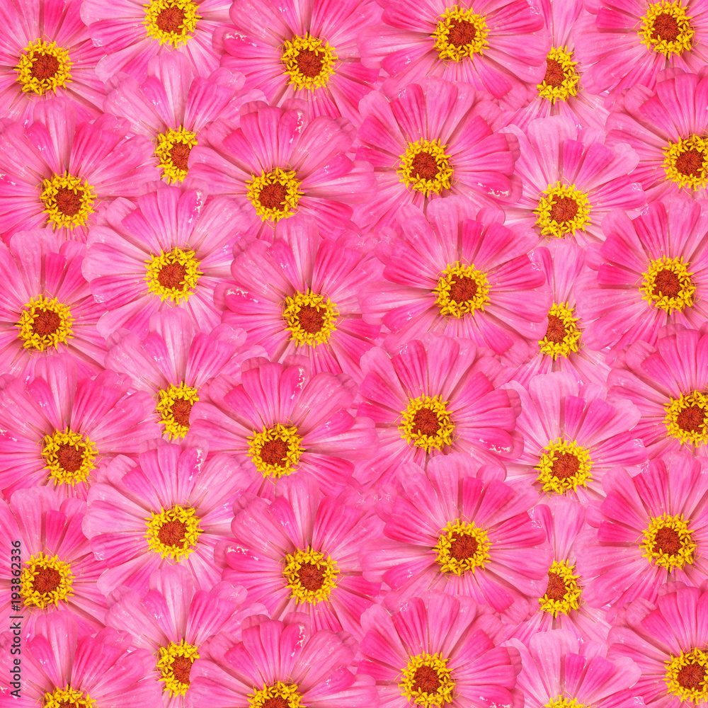 Beautiful floral background of pink tsiny Beautiful floral background of pink tsiny