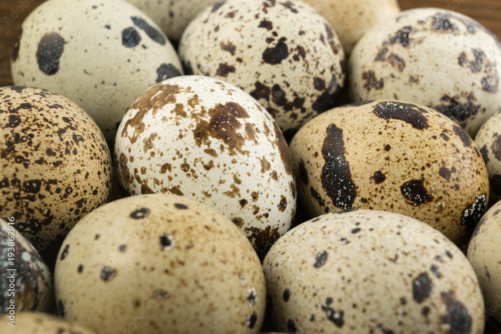 Quail Eggs Background Quail Eggs Background