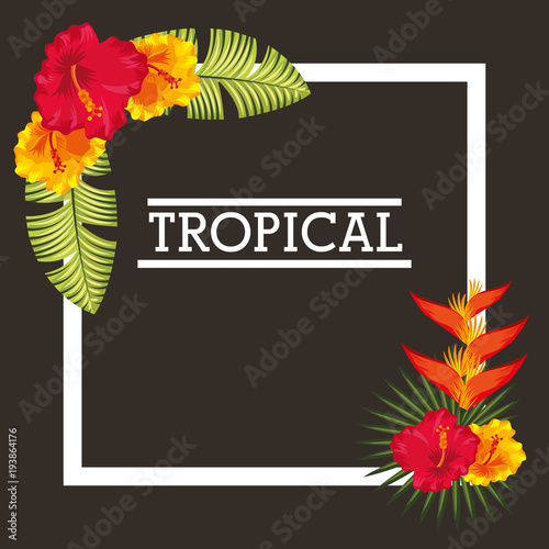 tropical hibiscus flowers bird of paradise and leabes exotic frame decoration dark background vector illustration photo