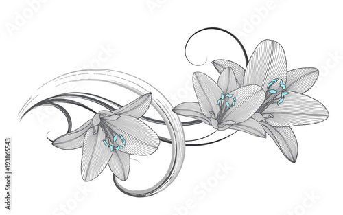 Hand-drawing floral background with flower lily. 