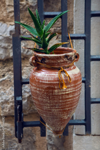 pot is conical in shape with aloe is hanging on the wall in Kotor, Montenegro