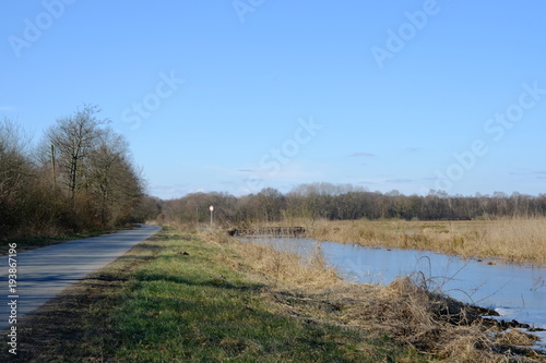 Obraz na płótnie Am Ahrensfelder Damm in Osterholz-Scharmbeck im Winter mit gefrorenen Eisflächen. w salonie