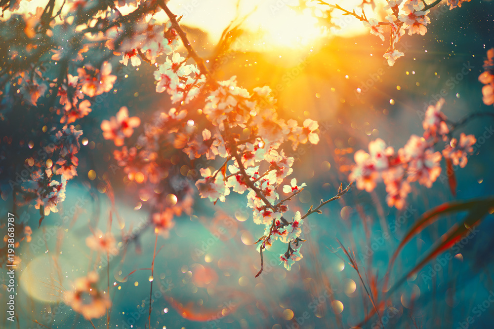 Naklejka premium Tło wiosna kwiat. Scena przyrody z kwitnącym drzewem i rozbłyskiem słońca. Wiosenne kwiaty. Piękny sad