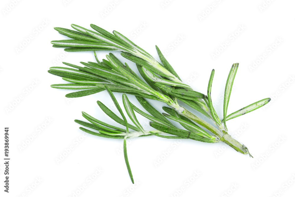 Fresh green rosemary isolated on a white background. Top view. Flat lay