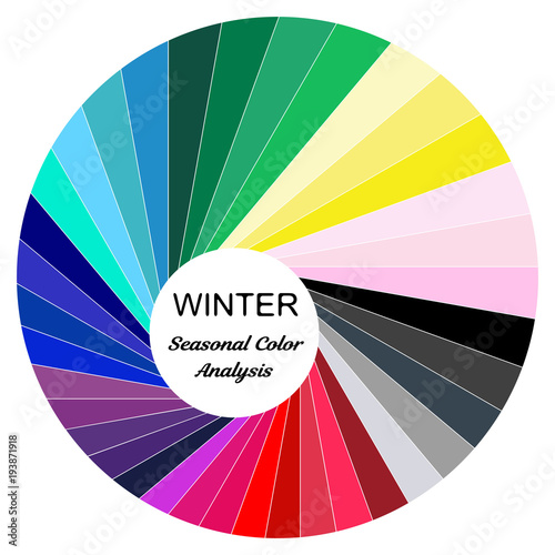 Stock vector color guide. Seasonal color analysis palette for winter type. Type of female appearance