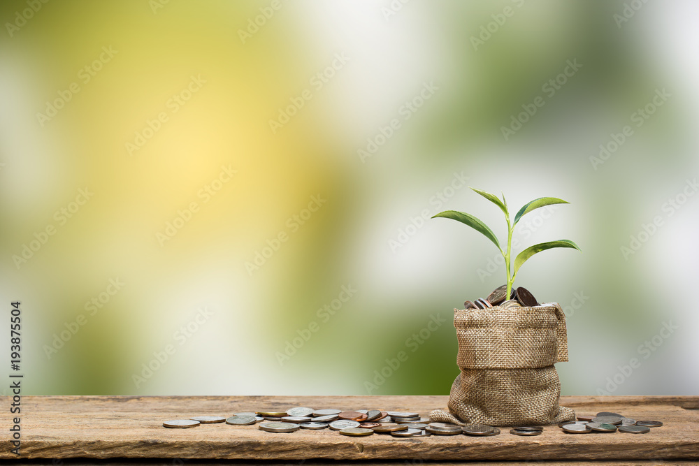 Full Thai coins in sackcloth with growing tree on wooden table with blurred Full Thai coins in sackcloth with growing tree on wooden table with blurred
