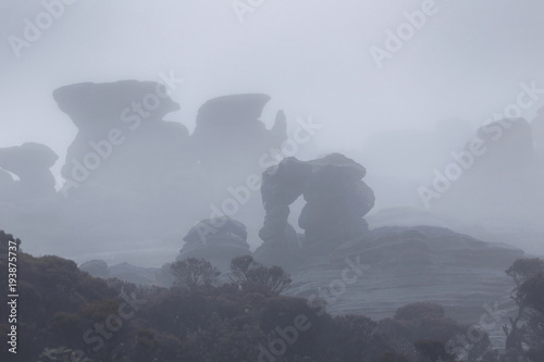 Fog and rain on Mount Roraima, Venezuela © sunsinger