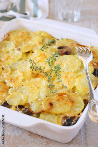 Vegetable potato and mushroom gratin with cheese