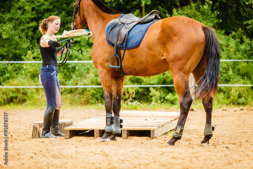 Jockey young woman getting horse ready for ride