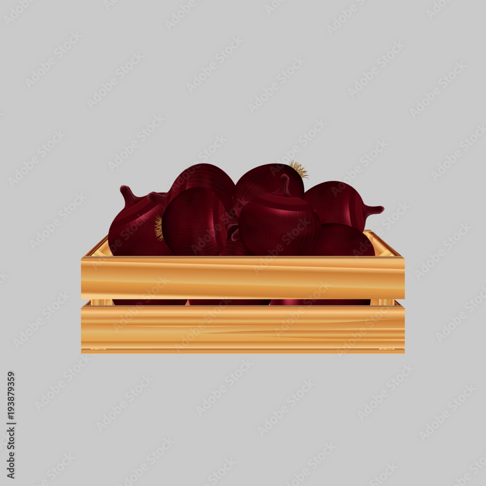 Vector wood box with onions Vector wood box with onions