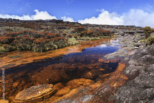 Colored rivers and pools on Mount Roraimpa  Venezuela