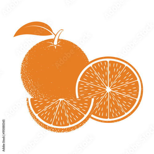 Contour icon of oranges on white background.