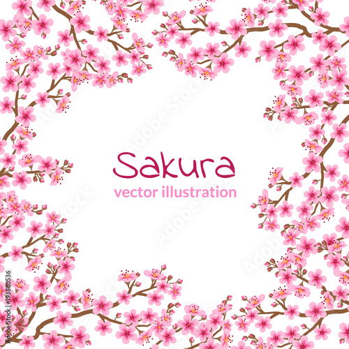 branch of a pink blossoming cherry