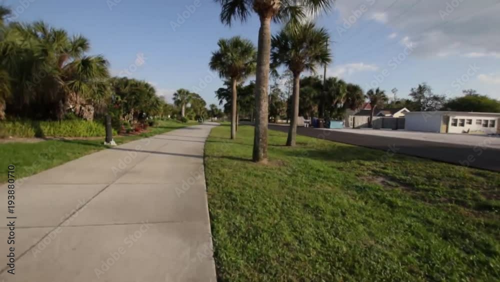 Florida Bike path with palm trees Florida Bike path with palm trees