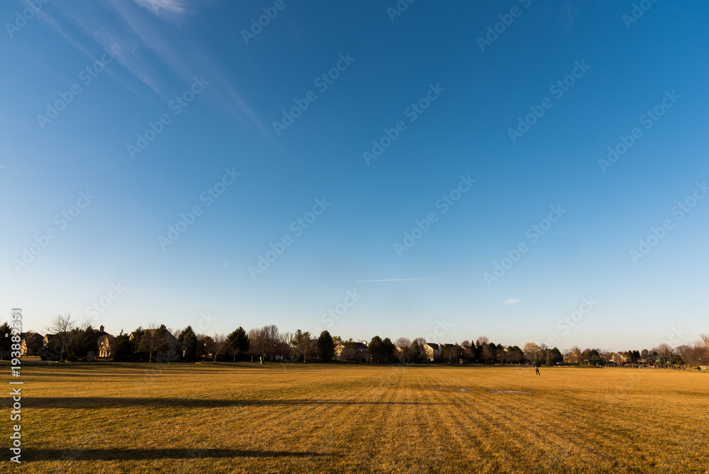 Blue Sky and Empty Field