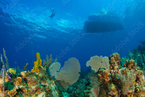 A boat has moored up above a tropical coral reef in Grand Cayman in the Caribbean to drop off scuba divers. The warm blue water is home to many species of hard and soft coral