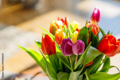 Colorful tulips in the sunlight #193886337