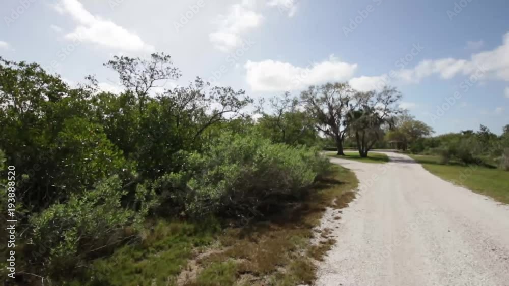 authentic camera movement casual florida dirt road drive by authentic camera movement casual florida dirt road drive by