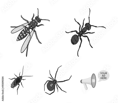 An insect arthropod, an osa, a spider, a cockroach. Insects set collection icons in monochrome style vector symbol stock isometric illustration web.