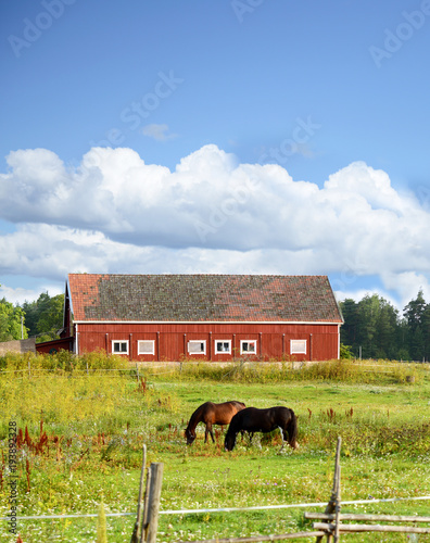 horse farm