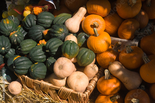 Farmers Market